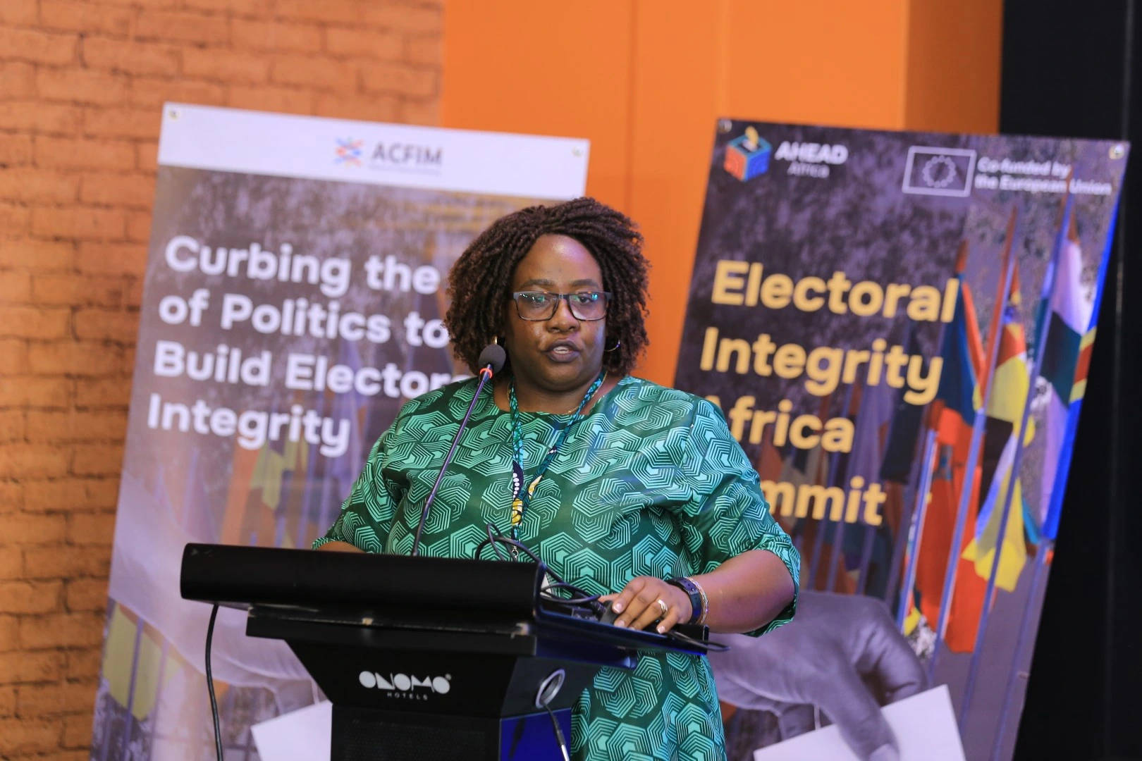 Electoral Integrity Africa Summit I (15)