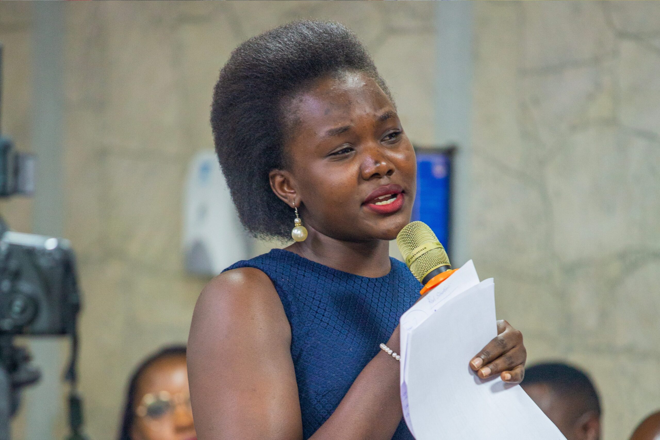 Electoral Integrity Africa Summit I (8)