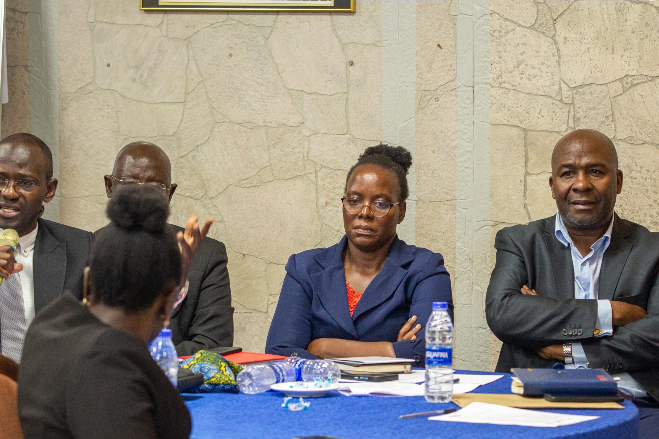 Electoral Integrity Africa Summit I (12)