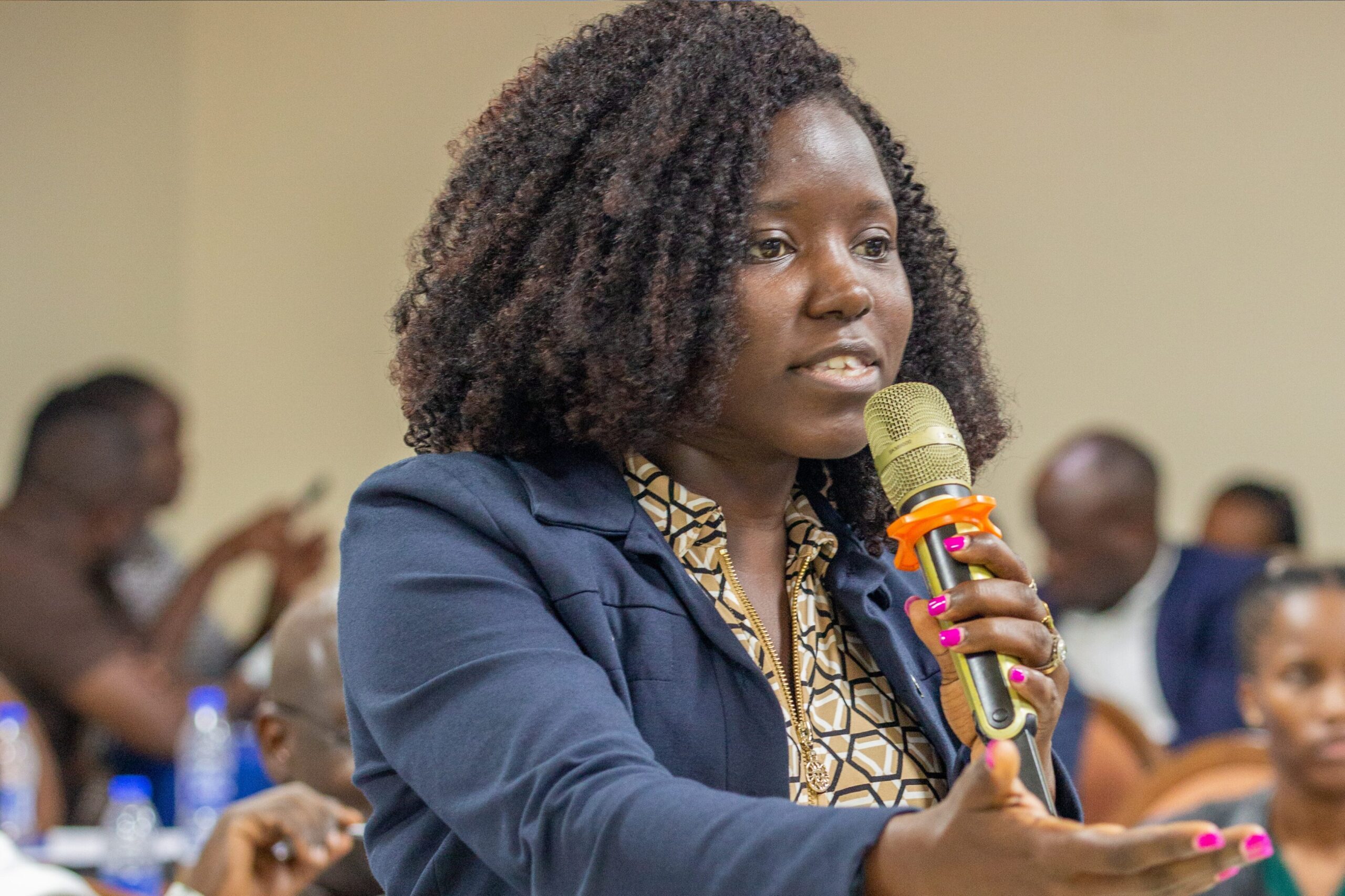 Electoral Integrity Africa Summit I (13)