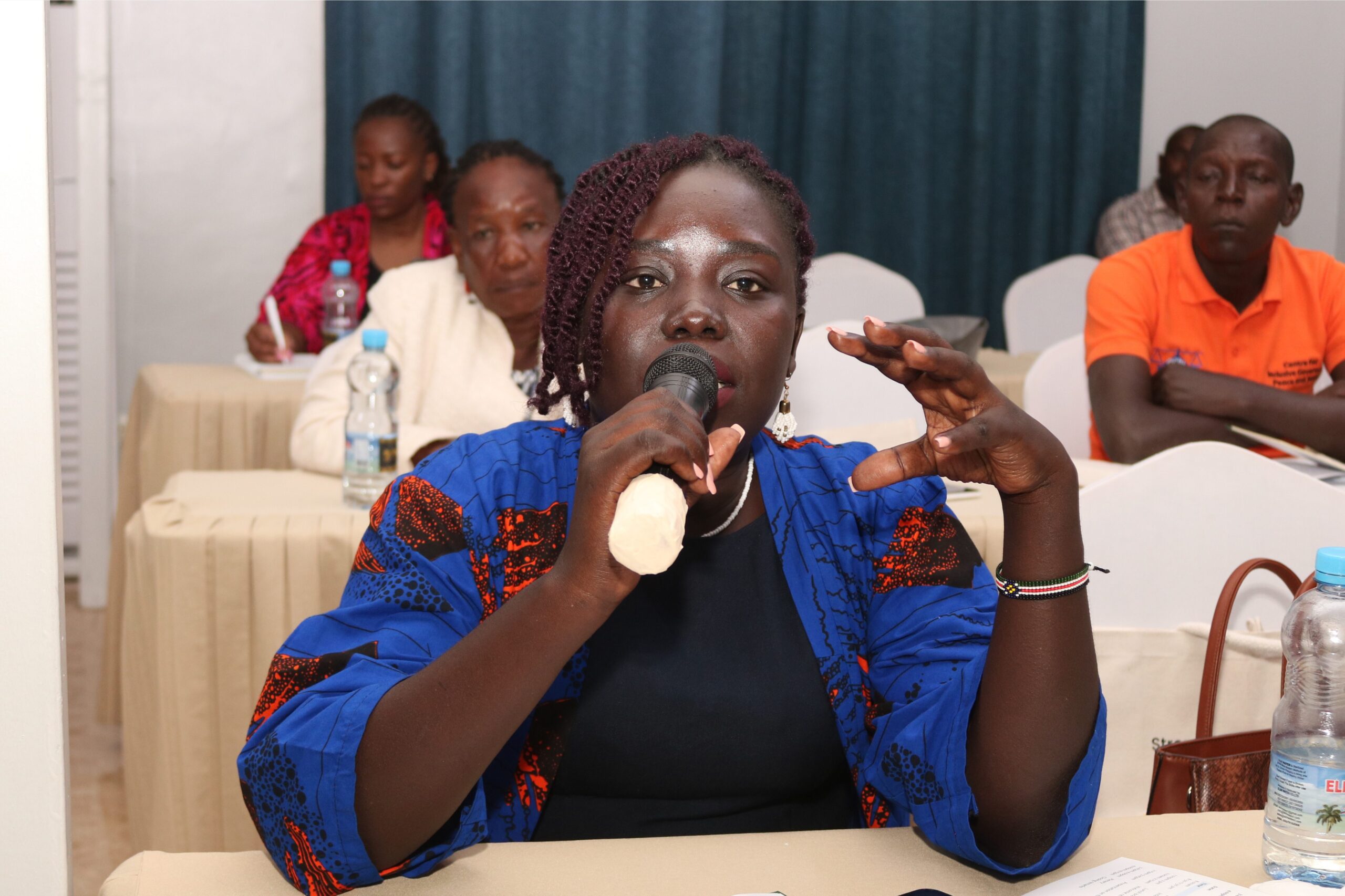 Electoral Integrity Africa Summit I (10)