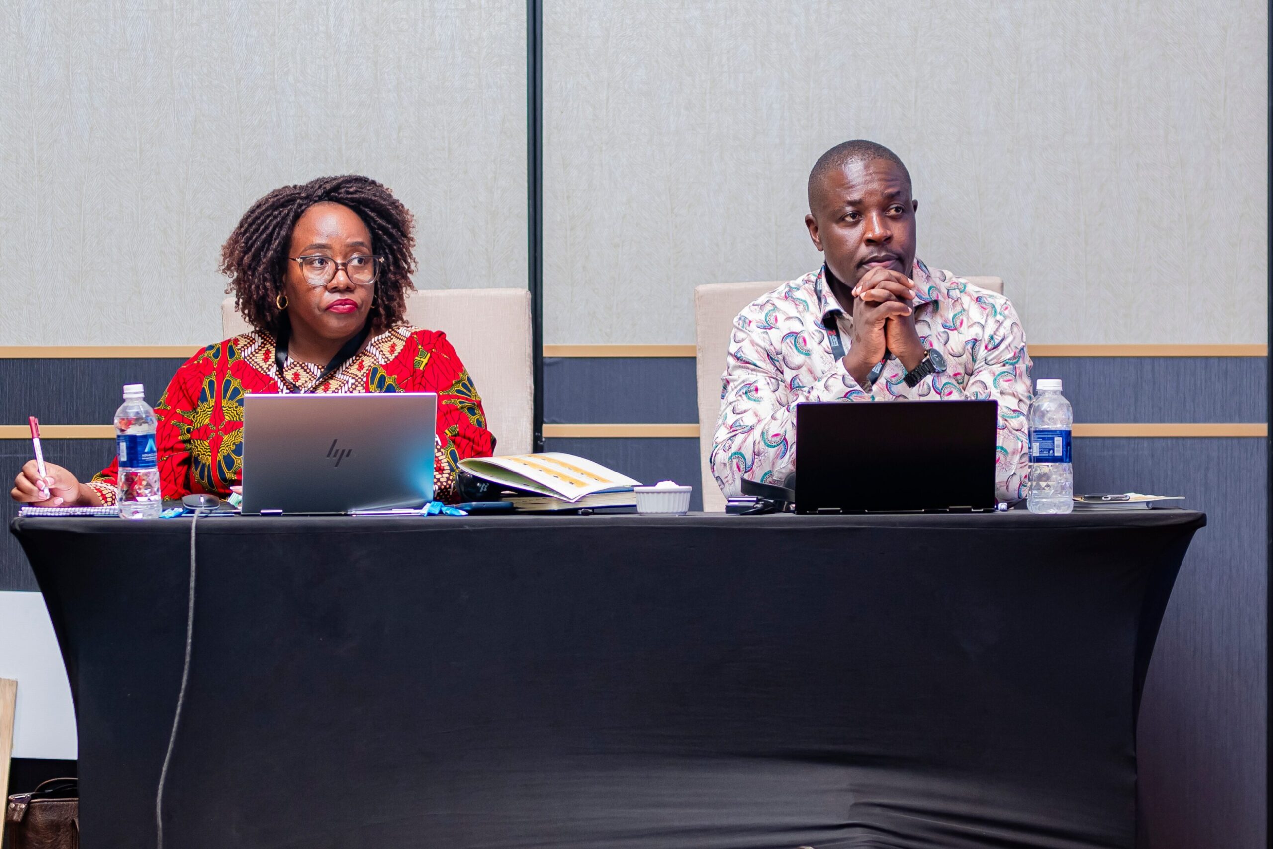 Electoral Integrity Africa Summit I (12)