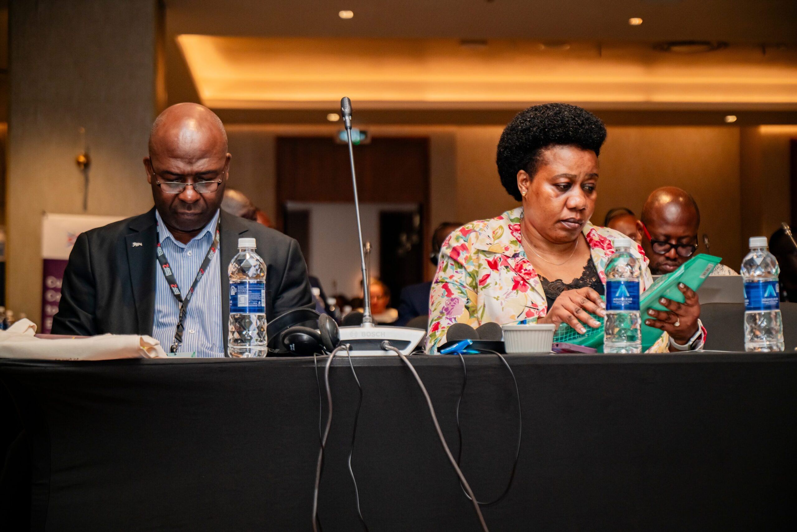 Electoral Integrity Africa Summit I (6)