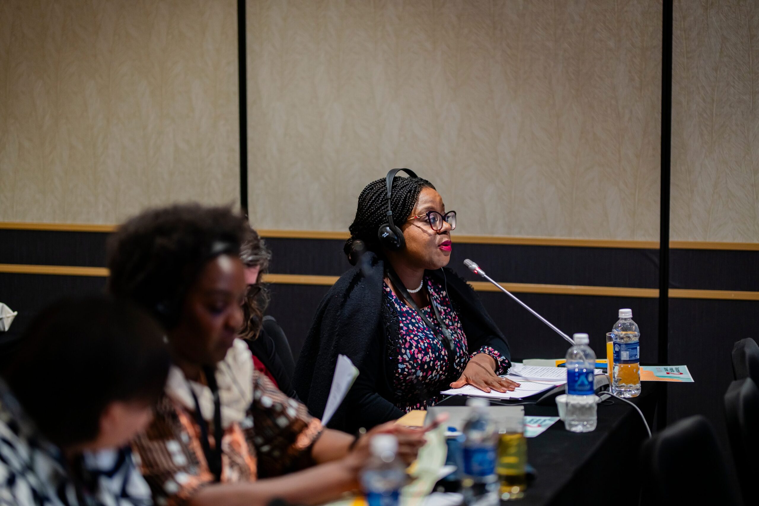 Electoral Integrity Africa Summit I (10)