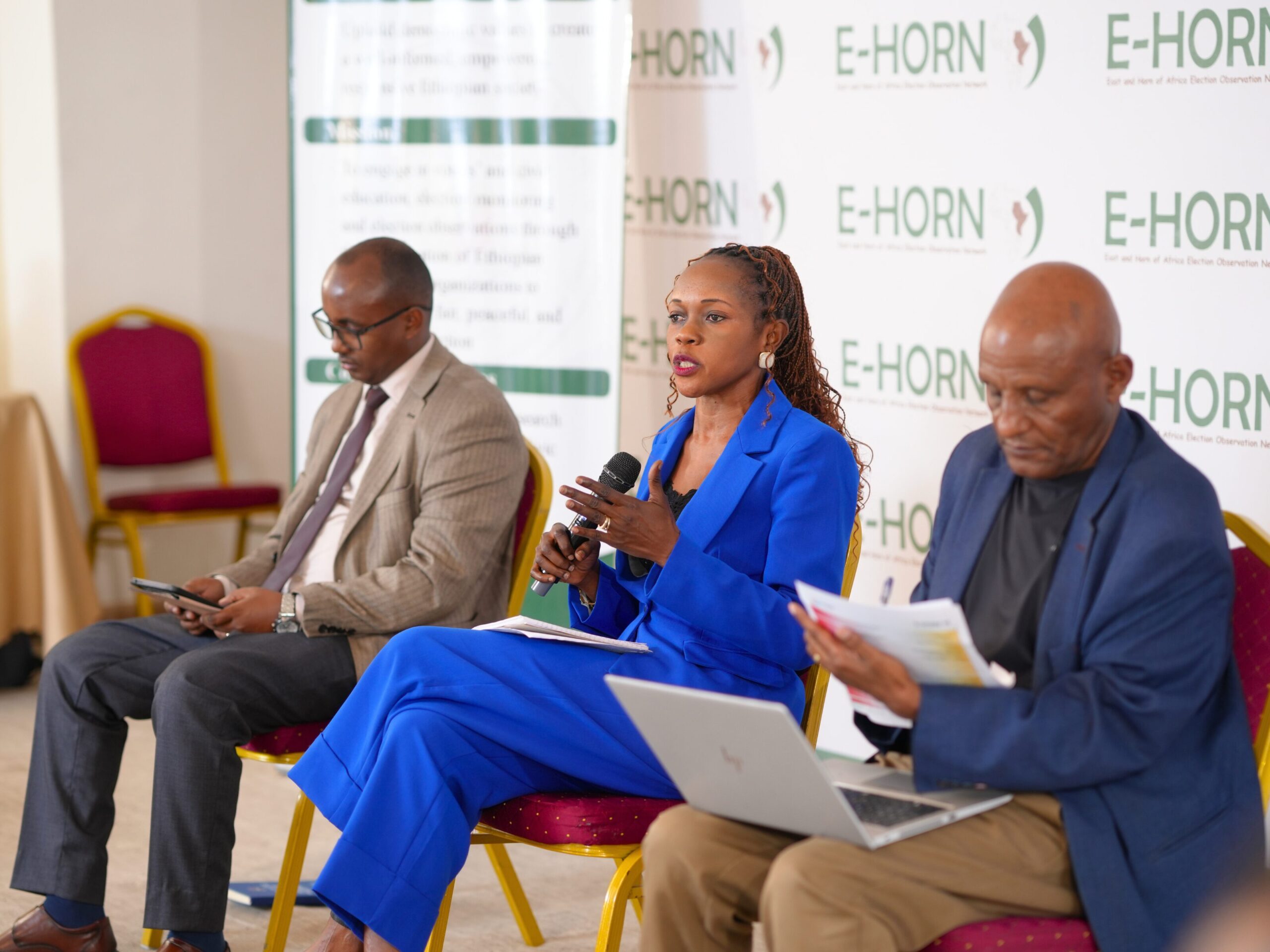 Electoral Integrity Africa Summit I (12)