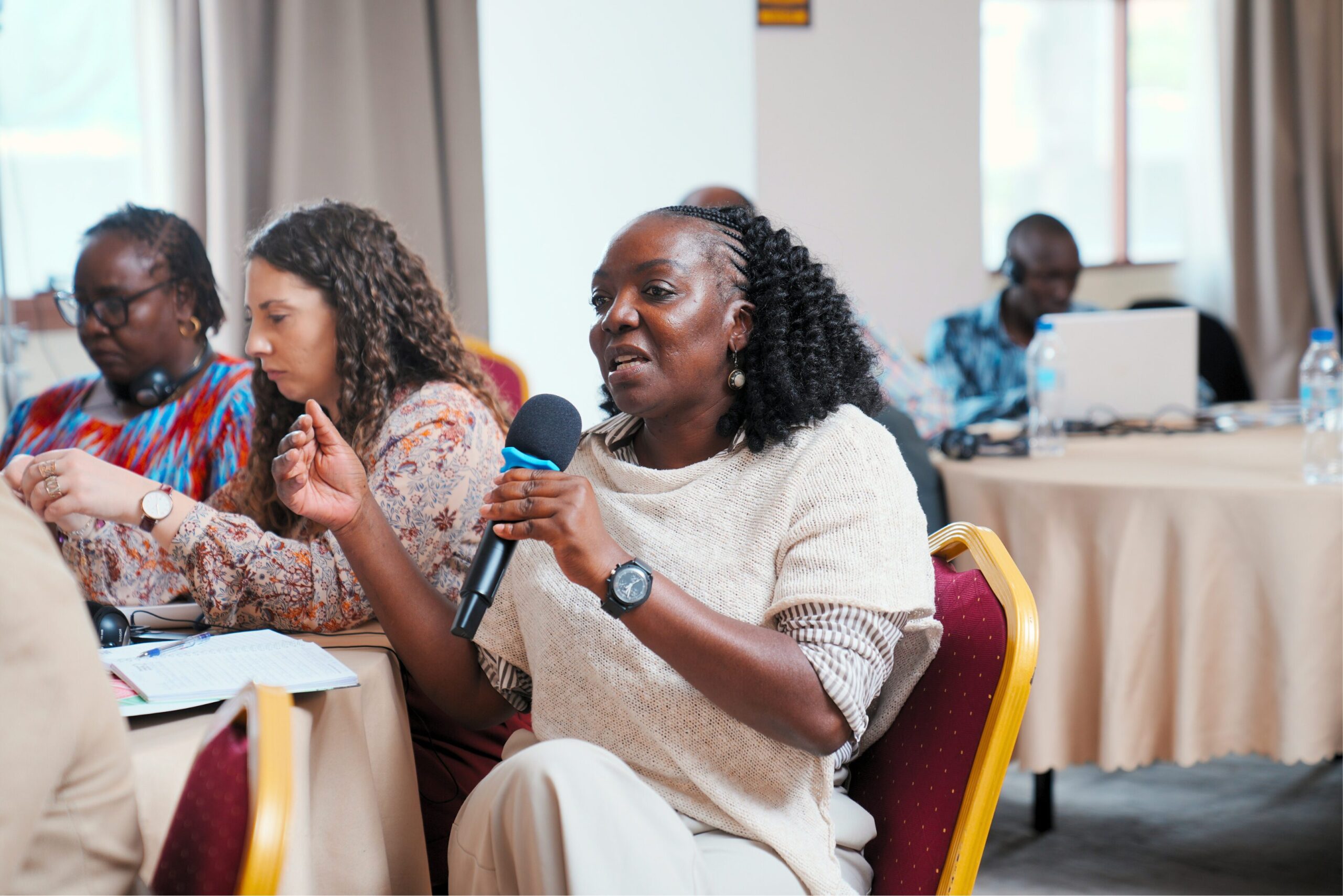 Electoral Integrity Africa Summit I (12)