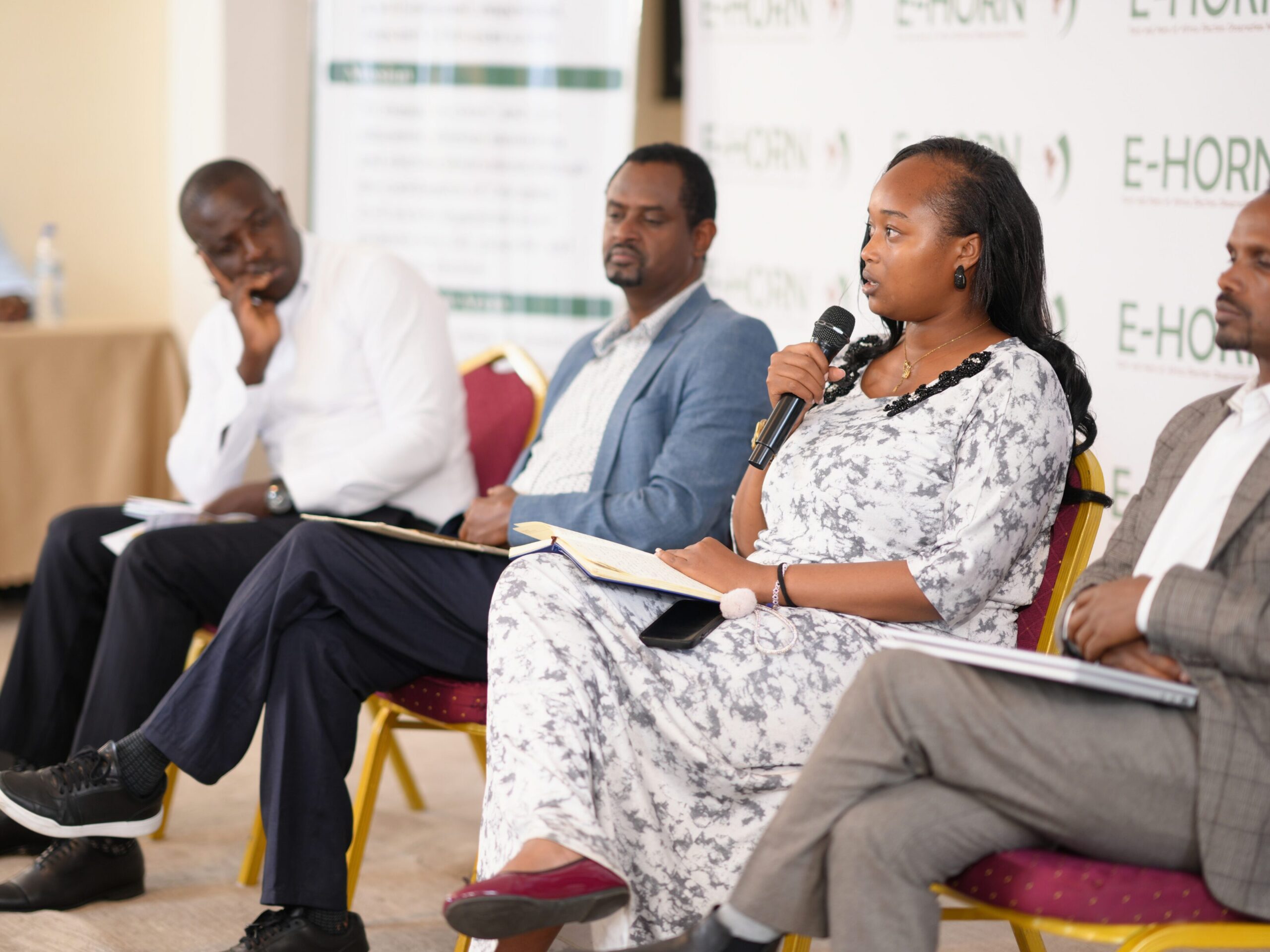 Electoral Integrity Africa Summit I (12)