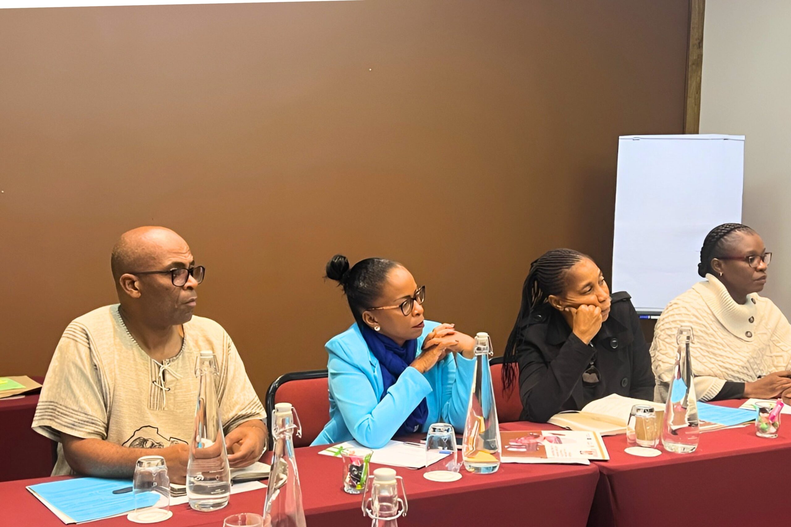 Electoral Integrity Africa Summit I (19)