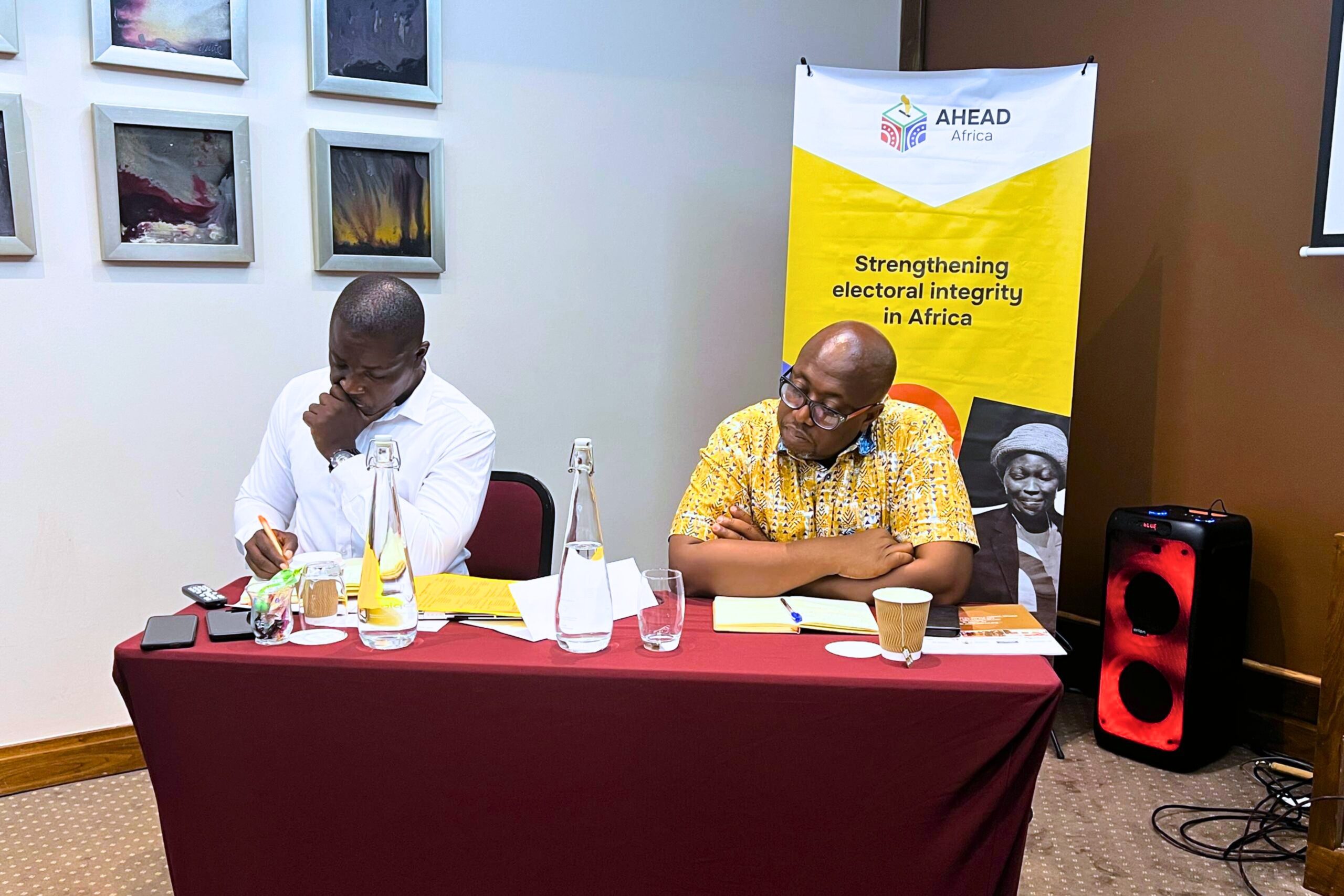 Electoral Integrity Africa Summit I (22)