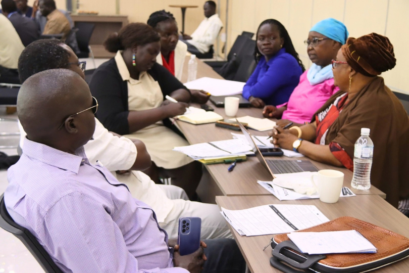 Electoral Integrity Africa Summit I (4)