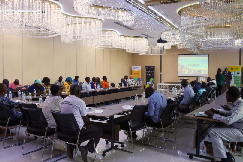 Electoral Integrity Africa Summit I (6)