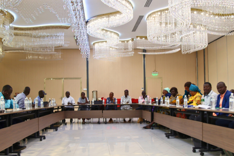Electoral Integrity Africa Summit I (10)
